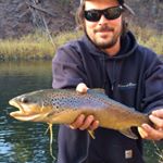 Profile Picture of Kevin McConnell (@kevonmcconnfishon) on Instagram