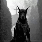 Profile Picture of Alex Dawson (@alexdawson6781) on Youtube