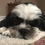 Profile Picture of Pat Bohn (@pat.bohn.581) on Facebook