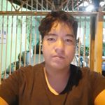 Profile Picture of Marcos Hiroyuki (@marcos_hiroyuki) on Instagram