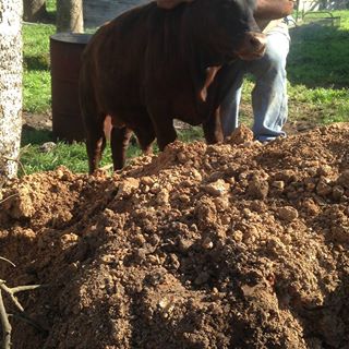 Profile Picture of Jose Barron (@Jose-Barron) on Facebook