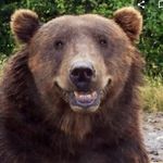 Profile Picture of Scott McGough (@mcgough916) on Instagram