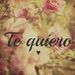 Profile Picture of Nancy Lizamara Herrera Gonzalez (@nancylizamara) on Pinterest