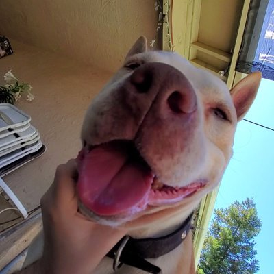 Profile Picture of Sean Sperry (@SeanSperry2) on Twitter