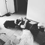 Profile Picture of Andrea Bussandri (@bussandriandrea) on Instagram
