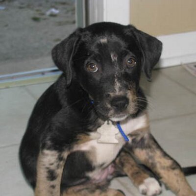 Profile Picture of Sean Creamer ;P (@A55h0le) on Twitter