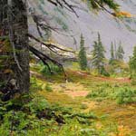 Shawn_Boykin - Instagram Profile Picture of Shawn_Boykin (@shawn_boykinh) on Instagram