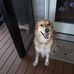Profile Picture of Shelly McEachern (@shelly.mceachern.5) on Facebook