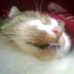 Profile Picture of Claudia Ullrich (@ullrich.claudi.106) on Facebook