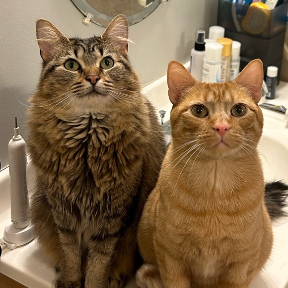 Profile Picture of Yifan Wang (@beriikun) on Poshmark