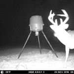 Brent Perritt - Instagram Profile Picture of Brent Perritt (@brent_perritt) on Instagram