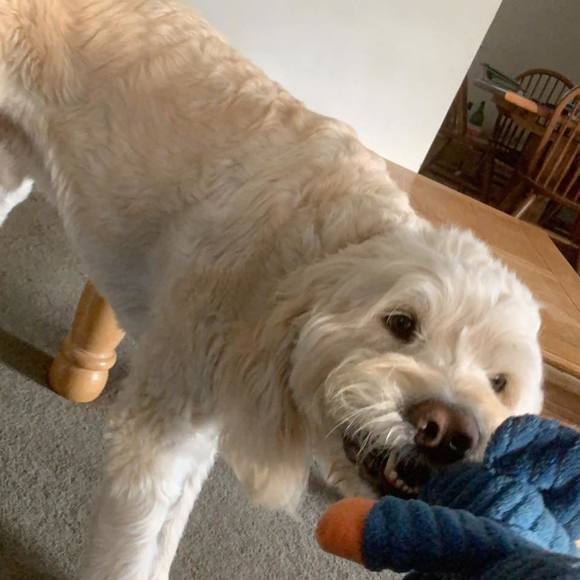 Profile Picture of Jack Dennehey (@jackdennehey) on Poshmark