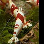 Profile Picture of juddgrant (@juddgrant) on Instagram