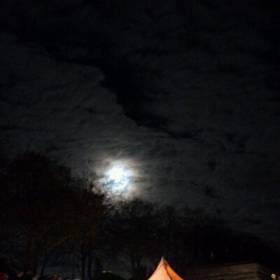 Profile Picture of Klaus Peter (@ThorsonPP) on Twitter