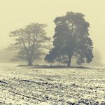 Profile Picture of Dr. Frank-Walter Hülsenbeck (@frank.huelsenbeck) on Instagram