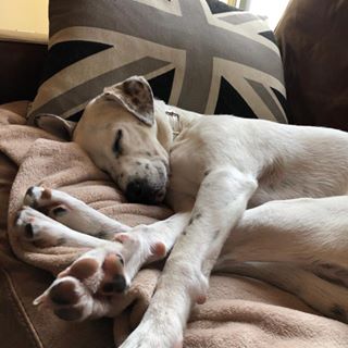 Profile Picture of Jonathan Ryan Shafter (@jonathan.r.shafter) on Facebook