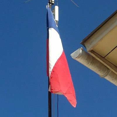 Profile Picture of David ARANCIBIA (@darancibiaf) on Twitter