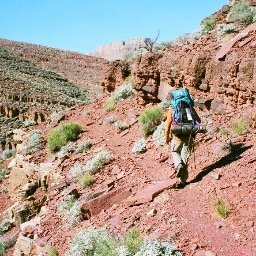 Profile Picture of Randy Freeman (@randyfreeman99) on Twitter