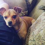 Profile Picture of Rick Emery (@rickbige) on Instagram