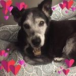 Profile Picture of Bailey Weber (@baileyweber5) on Instagram