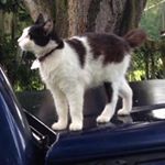 Profile Picture of Craig Parkhurst (@keros3266) on Instagram