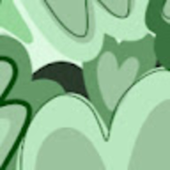 Profile Picture of Hannah Glazer (@hannahglazer527) on Poshmark