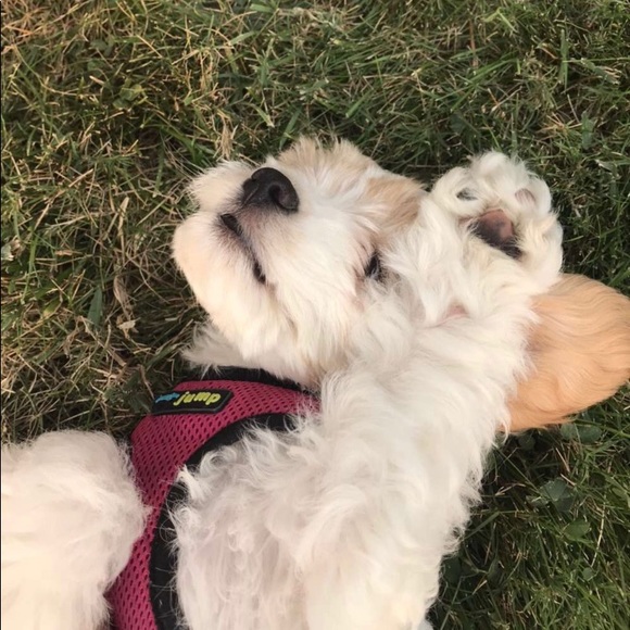 Profile Picture of Rozie Stadnyk (@roziestadnyk) on Poshmark