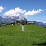 Profile Picture of Michele Cherubin (@cherubin.michele) on Instagram