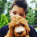 Profile Picture of Drew😎 (@drewloganpowell) on Instagram