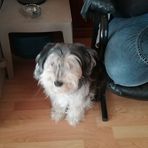 Profile Picture of Joyce Lafleur (@joyce.lafleur.737) on Facebook