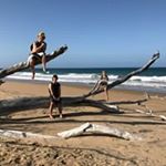 Profile Picture of Scott Ditchmen (@scottditchmen) on Instagram