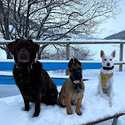 Profile Picture of Julia Fitzsimons (@juliafitzsimons6424) on Youtube