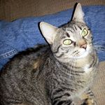 Profile Picture of Randy Mcalister (@randy.mcalister.140) on Instagram