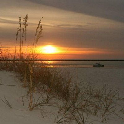 Profile Picture of Kim Ealey (@destin1015) on Twitter