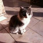 florencio vega - Instagram Profile Picture of florencio vega (@vega_florencio123) on Instagram