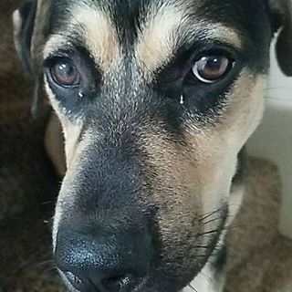 Profile Picture of Scotland Ramrod (@scotland.ramrod.9) on Facebook