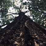 Profile Picture of Nathan Lowe (@nathaniel_lowe13) on Instagram