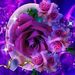 Profile Picture of Zoila Quintero (@zoilakorita) on Pinterest