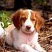 Profile Picture of Gwen Peterson (@gwen.peterson.75491) on Facebook
