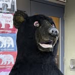 Profile Picture of Josef Schoeber (@Josef-Schoeber) on Facebook