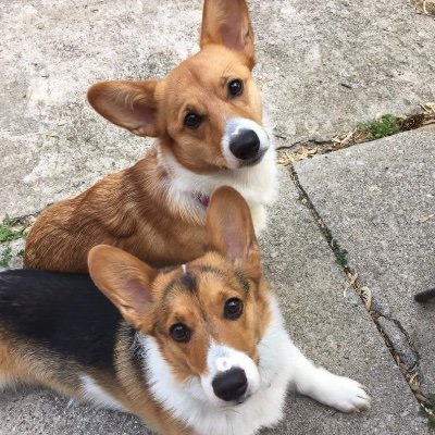 Profile Picture of Joe Bouche (@OMGJofo) on Twitter