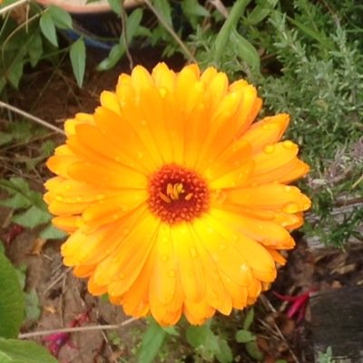 Profile Picture of Zoë Wilkins (@ZoeWilkins6) on Twitter