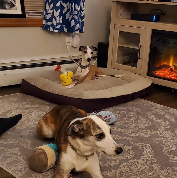 Profile Picture of Betsy Minster (@3whips) on Poshmark