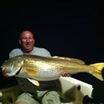 Profile Picture of David Smullin (@dwsmullin) on Instagram