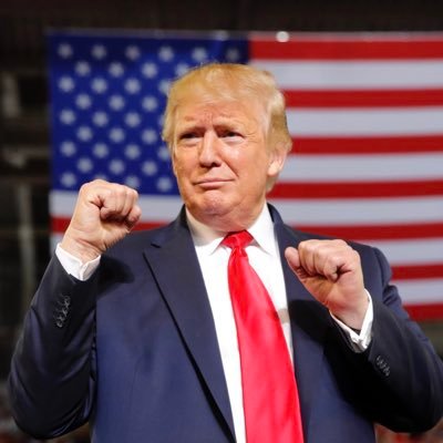 Profile Picture of Eight Years Of Trump (@trumpemall) on Twitter