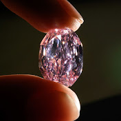 Profile Picture of Adam Shalit (@AdamShalitj) on Youtube