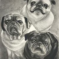 Profile Picture of Sharon Petry (@sharon-petry-2) on Quora