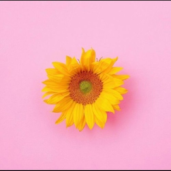 Profile Picture of Mairlyn Xuereb (@mairlynx) on Poshmark