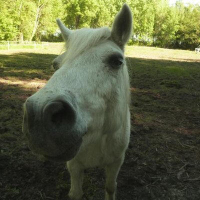 Profile Picture of SOMMA JEAN LUC (@SOMMAJEANLUC) on Twitter