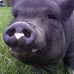 Profile Picture of Laurie Cooley (@laurie.cooley.374) on Facebook